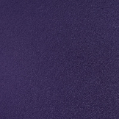 1-Nitro violet